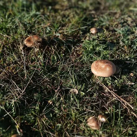 La Fortaleza De Semesterbostad *