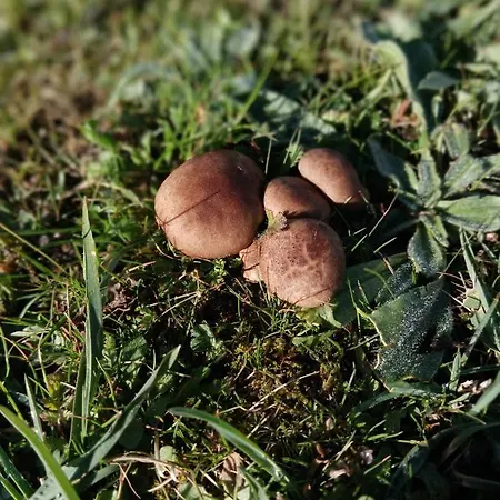 La Fortaleza De 펜션 Bernuy-Salinero